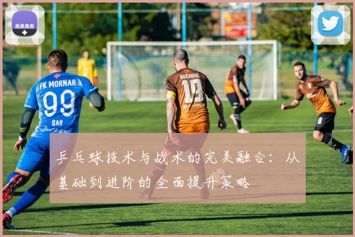 乒乓球技术与战术的完美融合：从基础到进阶的全面提升策略