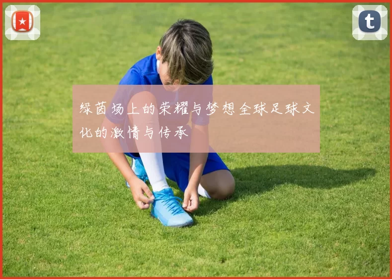 绿茵场上的荣耀与梦想全球足球文化的激情与传承