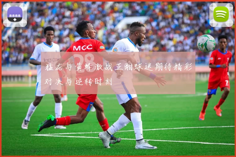 猛龙与黄蜂激战正酣球迷期待精彩对决与逆转时刻