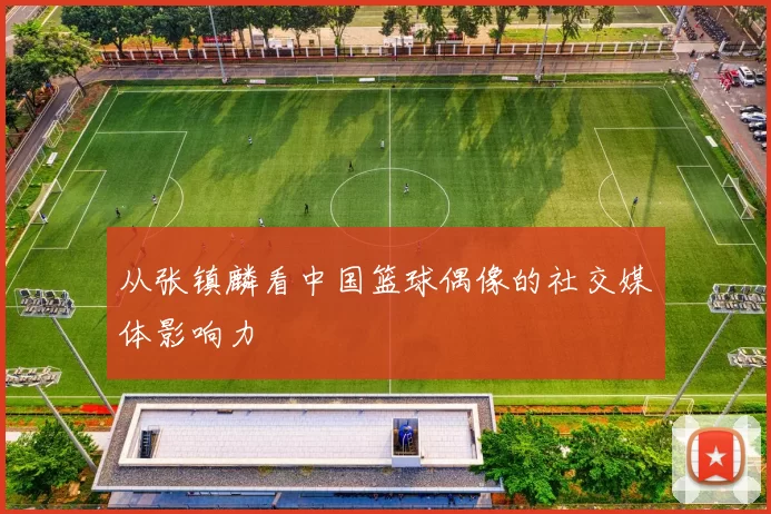 从张镇麟看中国篮球偶像的社交媒体影响力