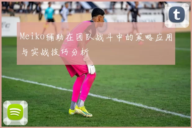 Meiko辅助在团队战斗中的策略应用与实战技巧分析
