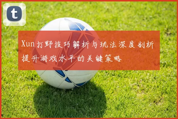 Xun打野技巧解析与玩法深度剖析 提升游戏水平的关键策略